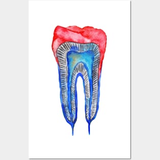 Tooth Posters and Art